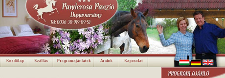 katt ide az oldal megtekintéséhez